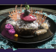 First Contact - Alien Week